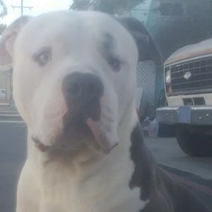 Meet your Posher, Danny